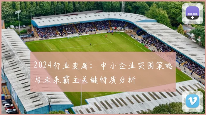 2024行业变局:中小企业突围策略与未来霸主关键特质分析